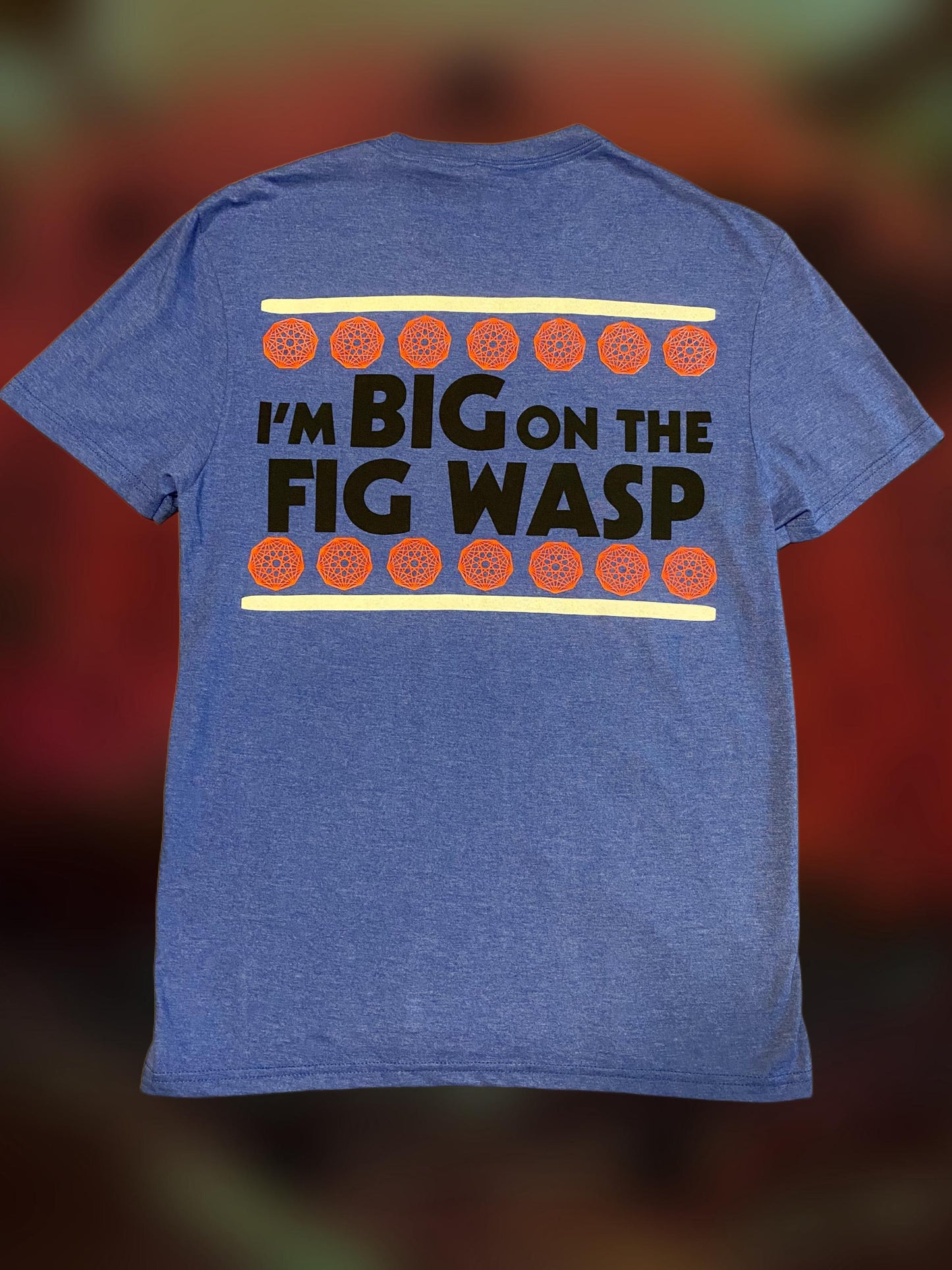 Silly Billy blue Tshirt | King Gizzard and the Lizard Wizard